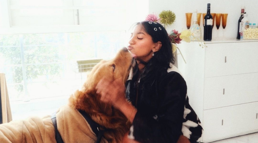 The Wardrobe after Clarity