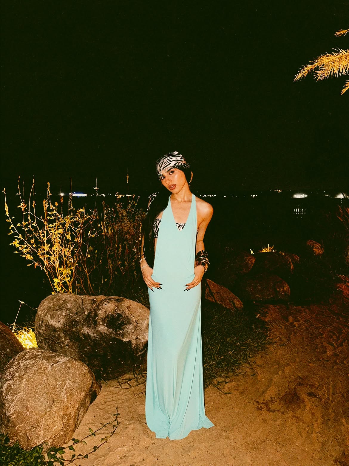 ALPHA IN THE WILD DRESS